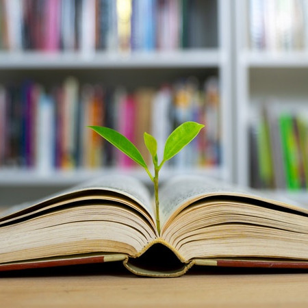 عادت مطالعه